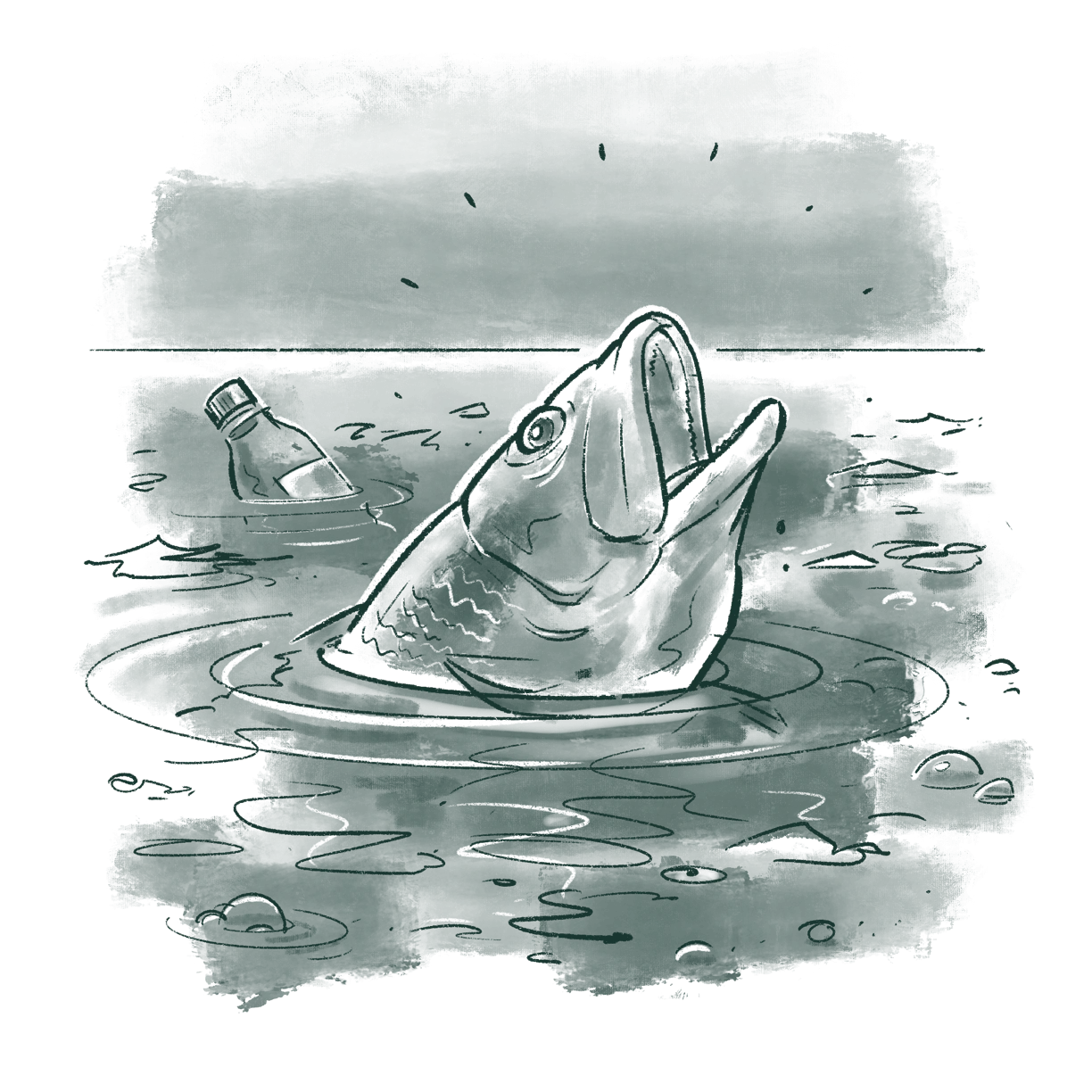 Plastic_Waste_And_Other_Pollutants