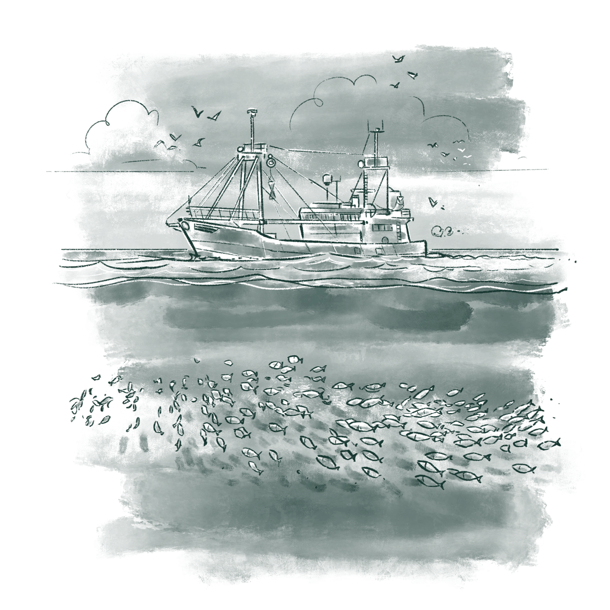 The_Diverse_World_Of_Aquatic_Ecosystems