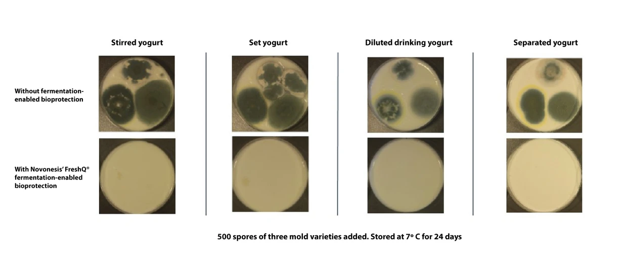 bio mold shelf life extension