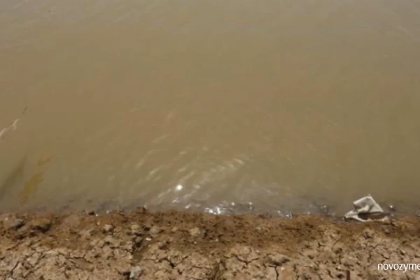 Shrimp fariming common problem 03: Turbid water post-stocking
