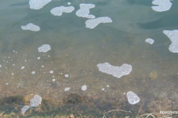 Shrimp farming common problem 04: Unstable bloom color during water preparation