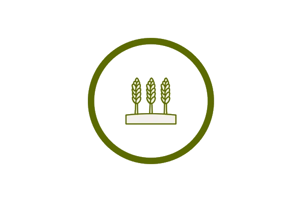 Transform icon