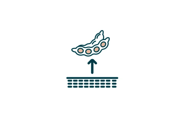 Higher yield  expectation icon