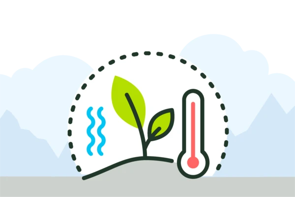 Improved plant health