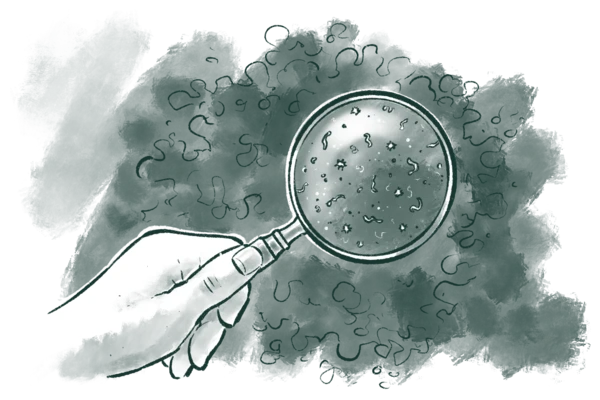 Soil’s secret helpers