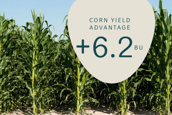 torque yield claims