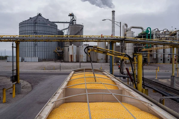 Truck-loading-corn