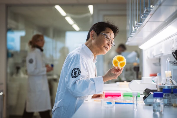Fungi_in_lab_Lyngby
