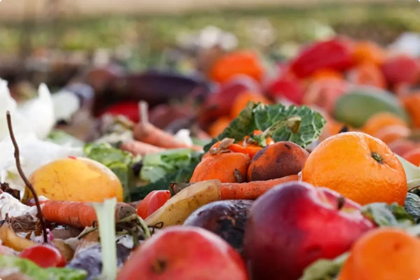 foodwaste