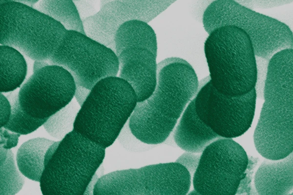 strain_microscope