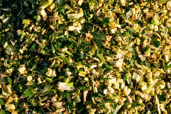 silage_wall