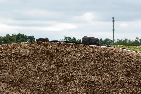 silage_closeup
