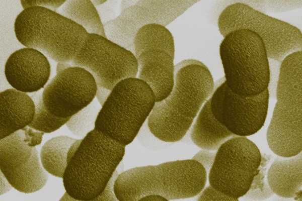 strain_microscope
