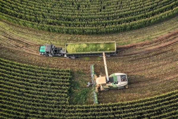 silage management