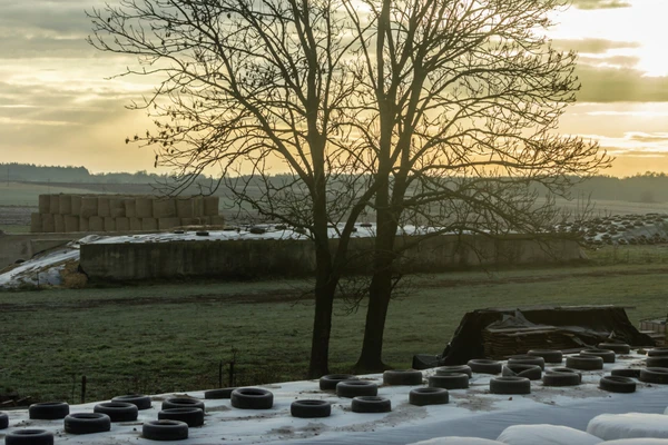 silage landscape