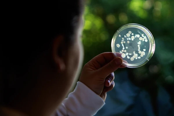 petri dish science