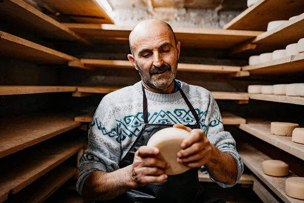 A cheesemaker in a ripening cave examining a wheel of comte for ripeness 
