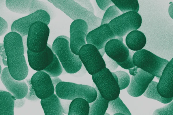 microbiome