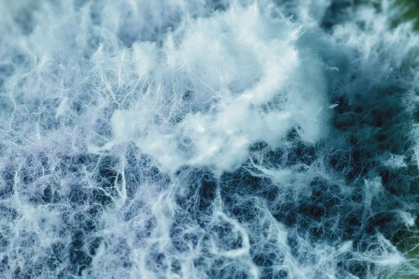 waves