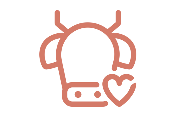 Cow heart -red