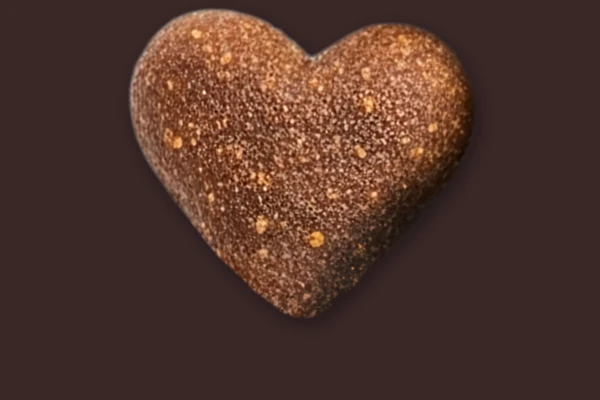 Heart-shaped pet food kibble centered on a dark brown background, with a slightly rough, porous surface and small light-colored flecks visible throughout.