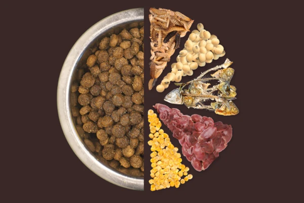 Split visual showing pet food composition on a dark brown background: on the left, a metal bowl filled with brown dry kibble; on the right, a selection of raw ingredients including dried larvae, soybeans, small dried fish, yellow corn kernels, and reddish organ meat, arranged to represent different input sources.