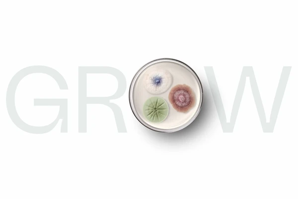 Novonesis GROW strategy key visual