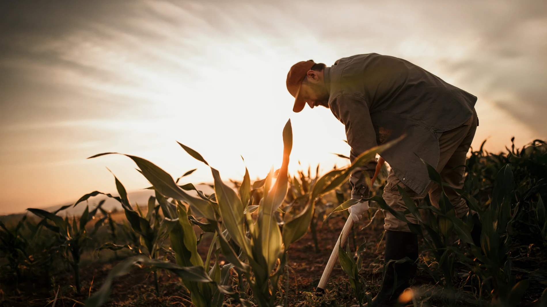 soil health