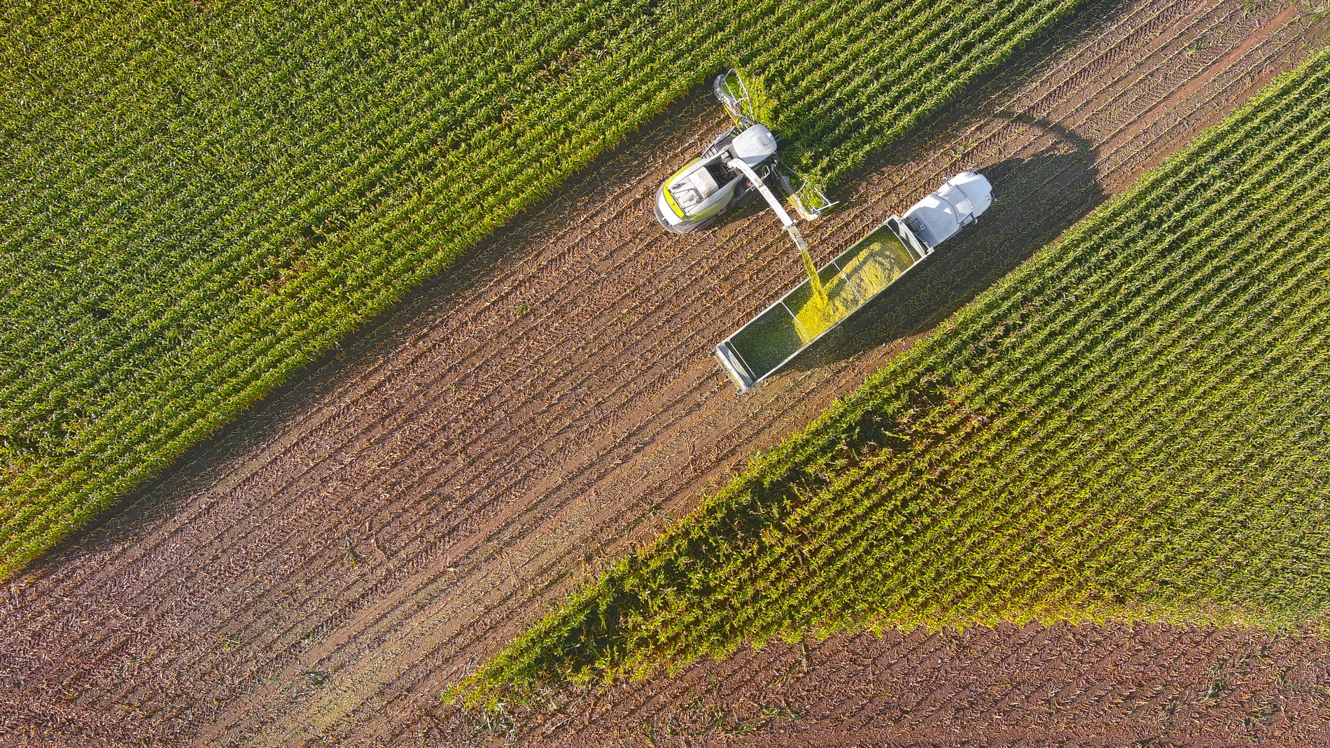 truck_harvesting