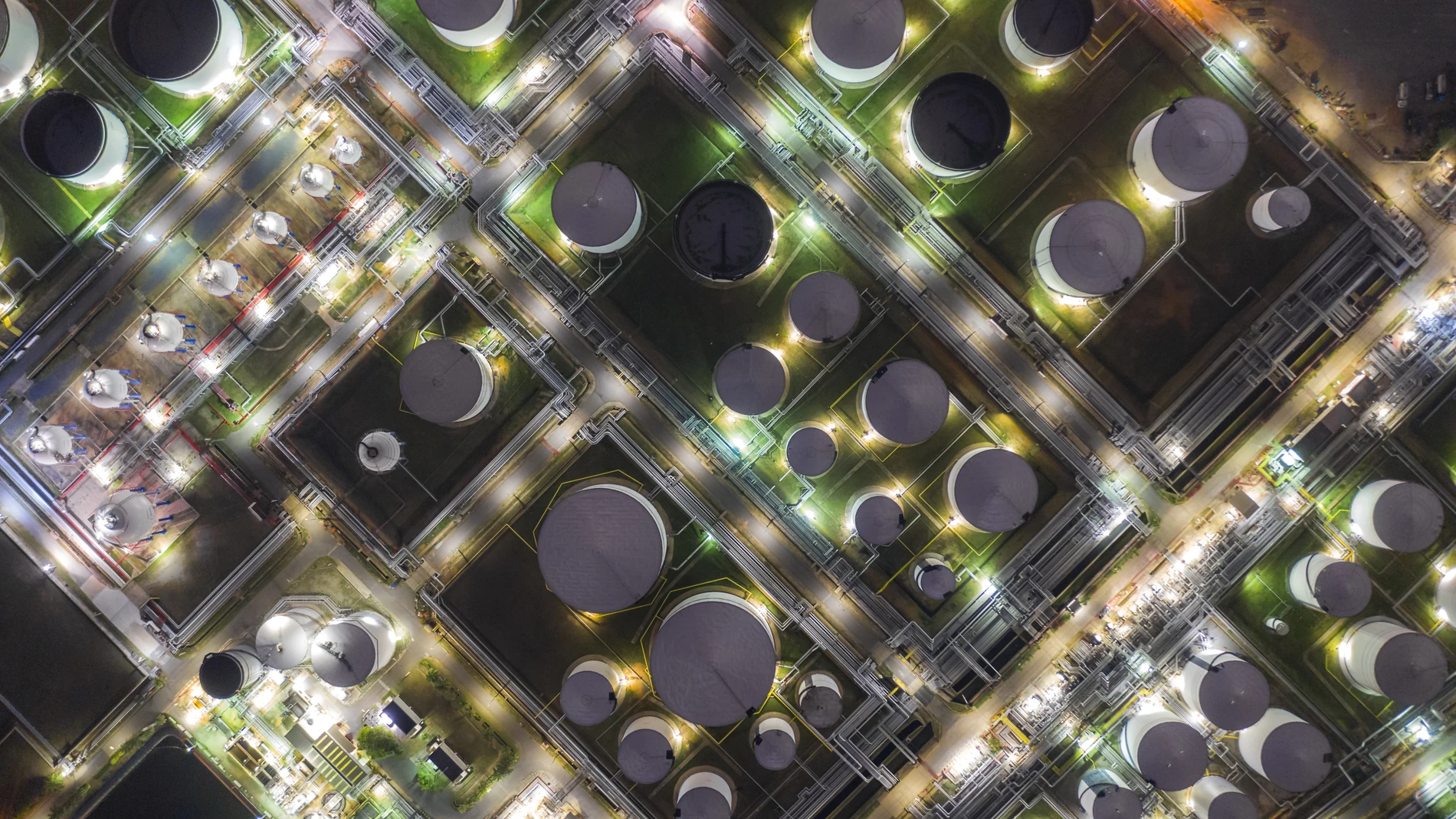Bird view of plant