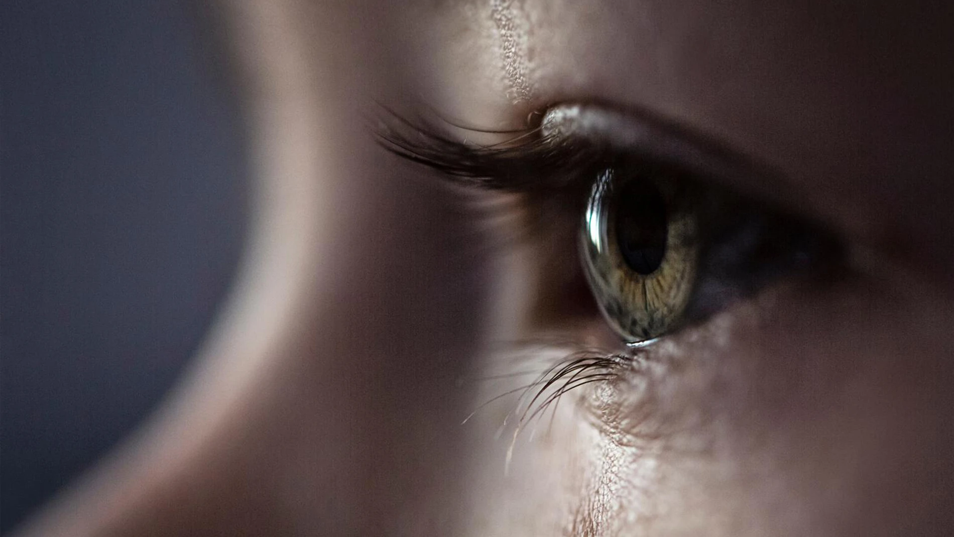 eye