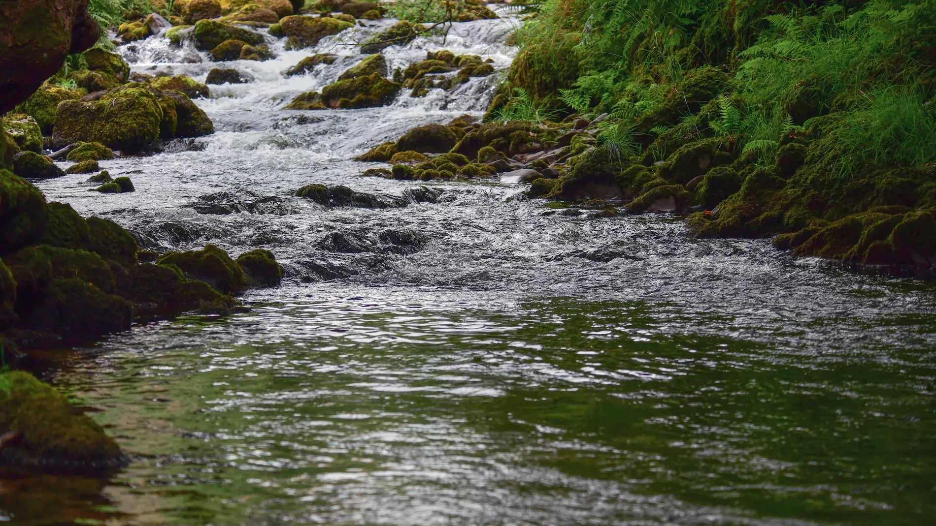river