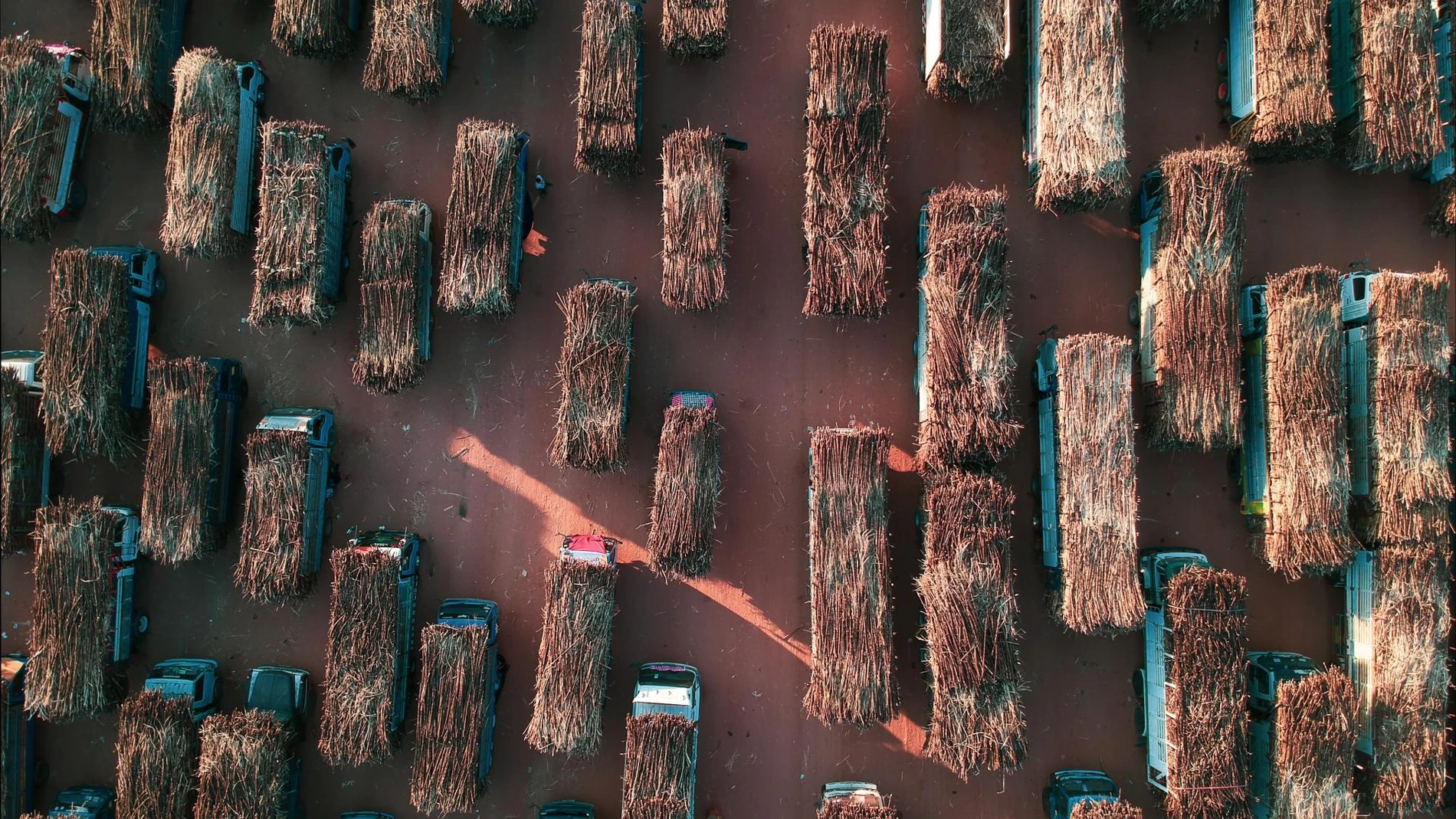 a helicopter view of tracks transporting sugarcane