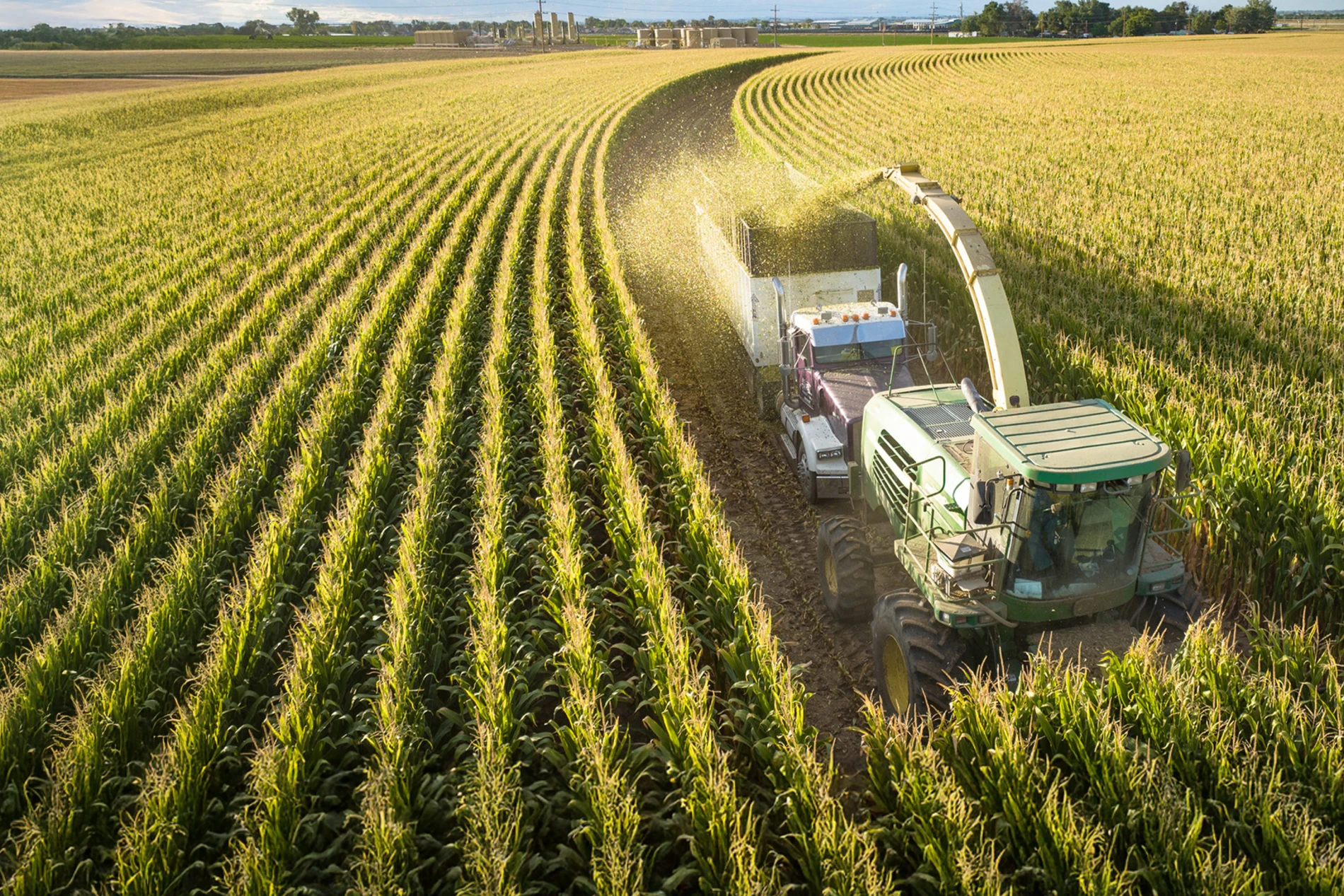 Silage