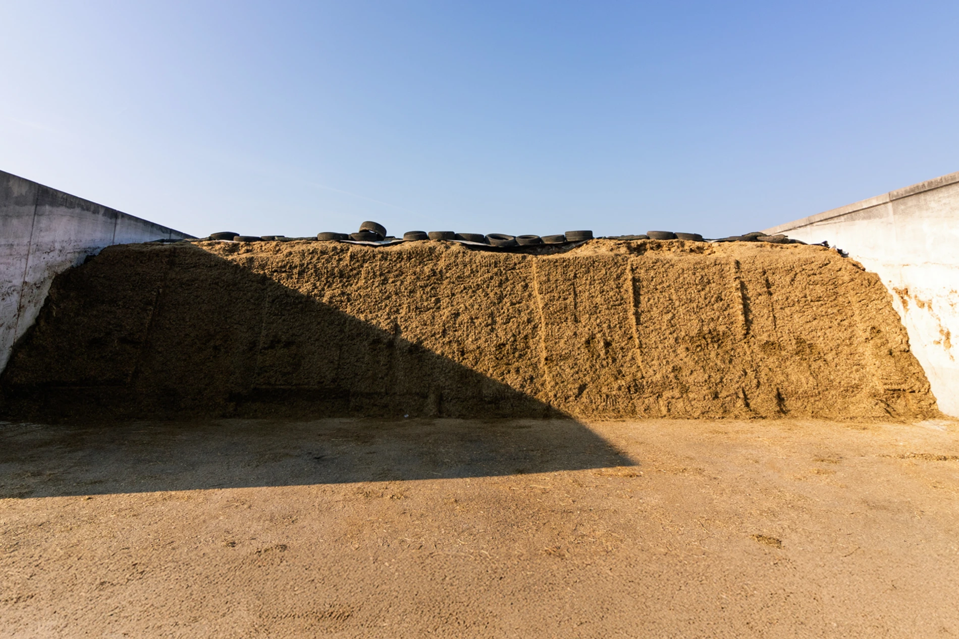 feed_out_silage