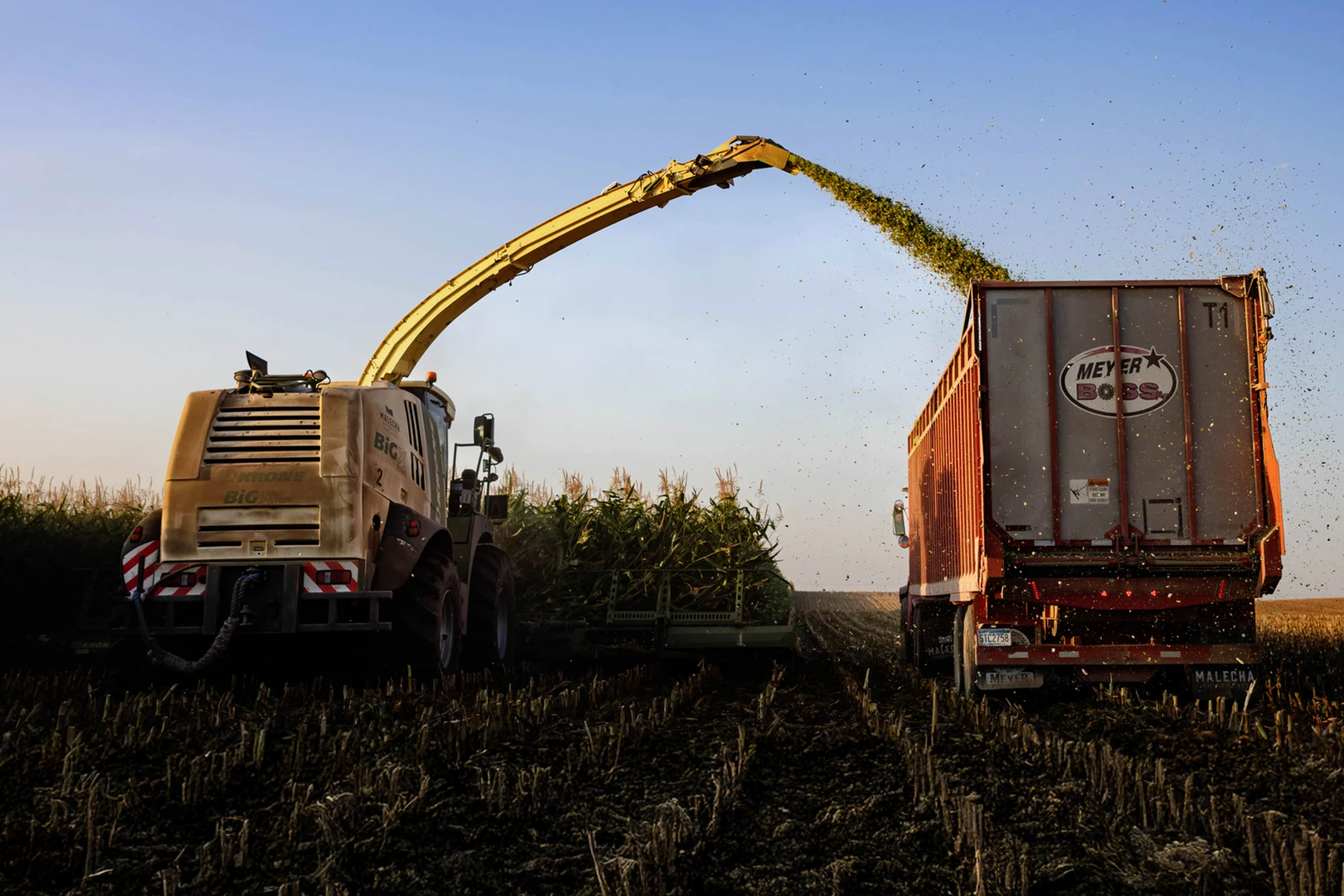 silage_harvest