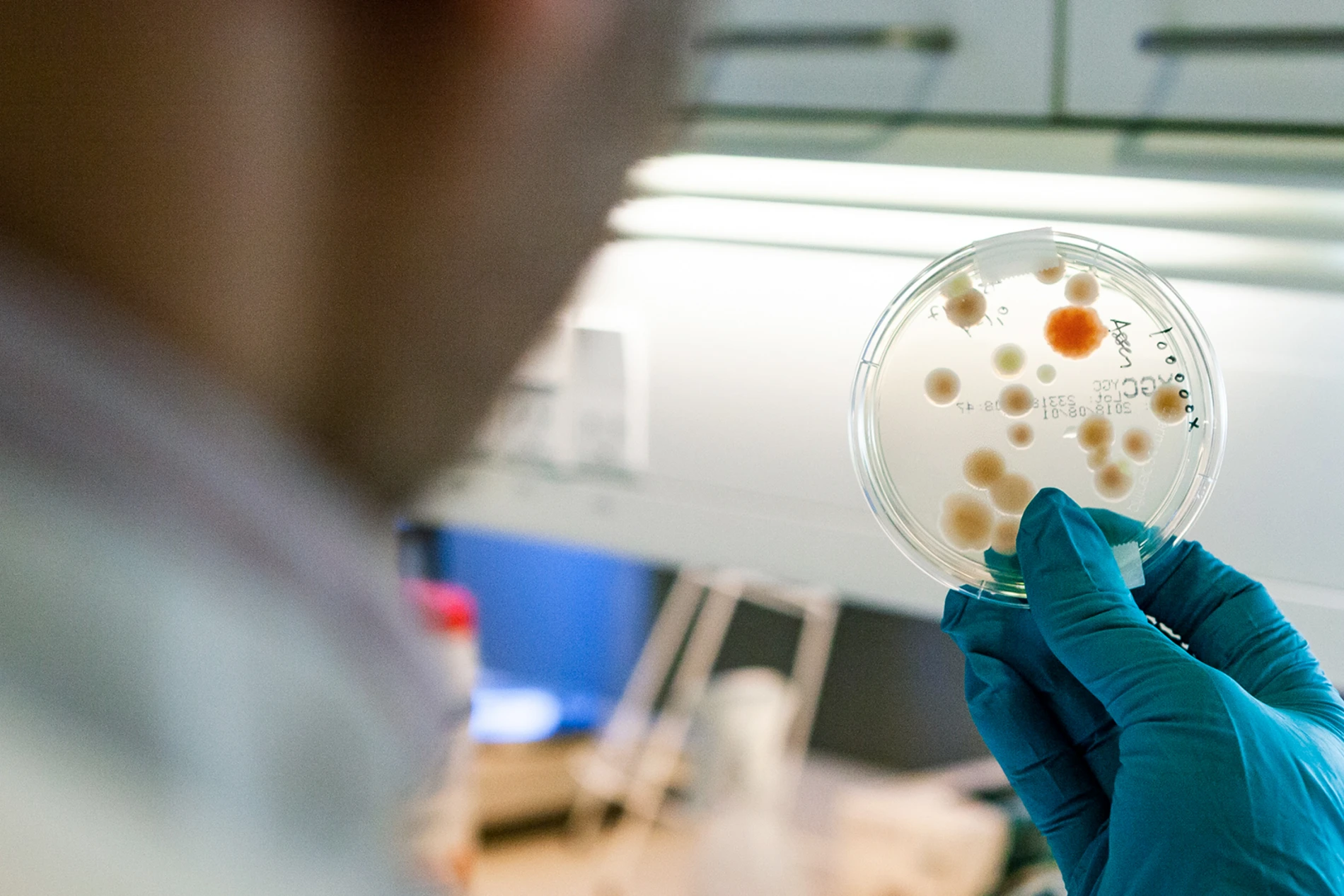 science bacteria