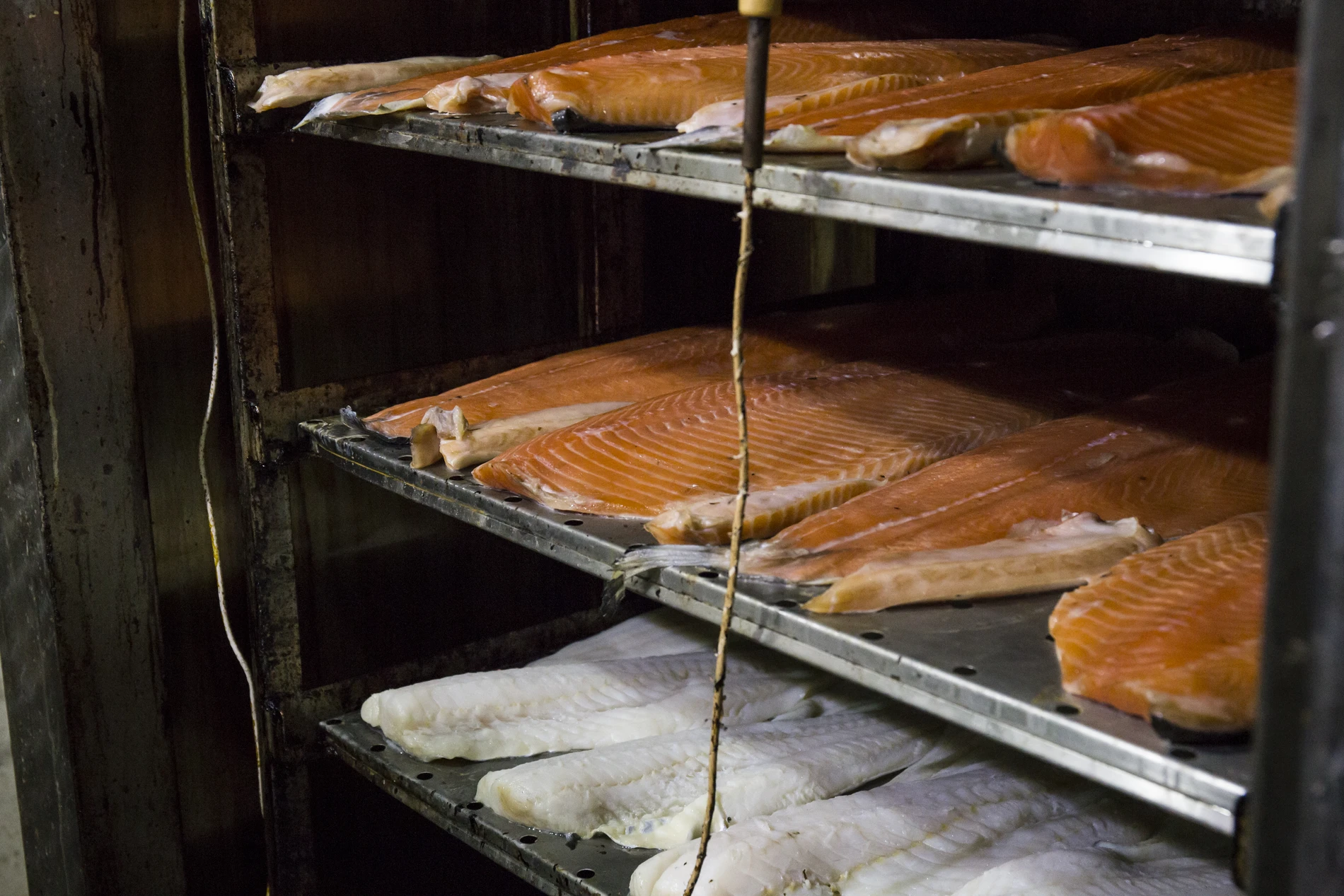 A lot of salmon smoked