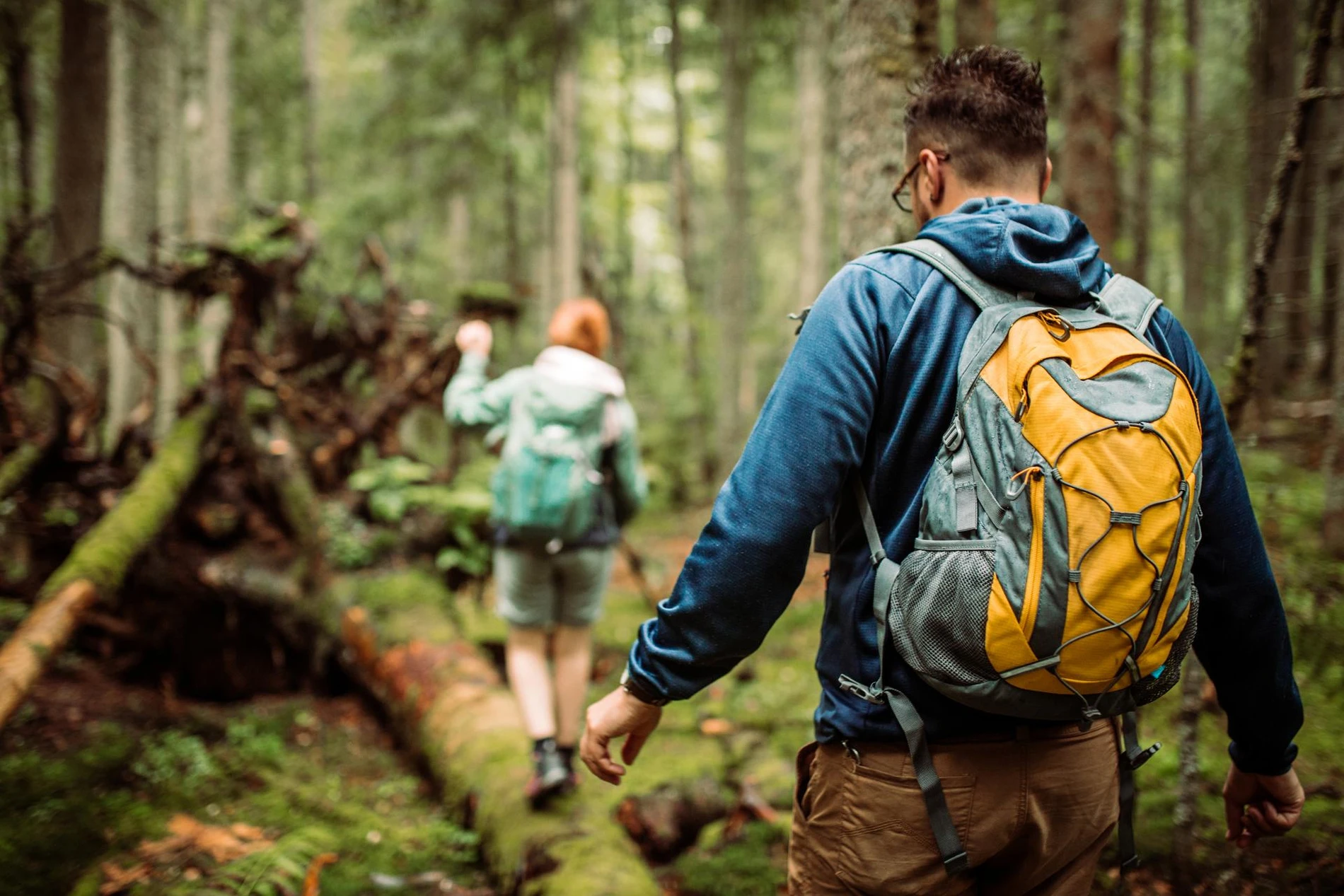 hikers