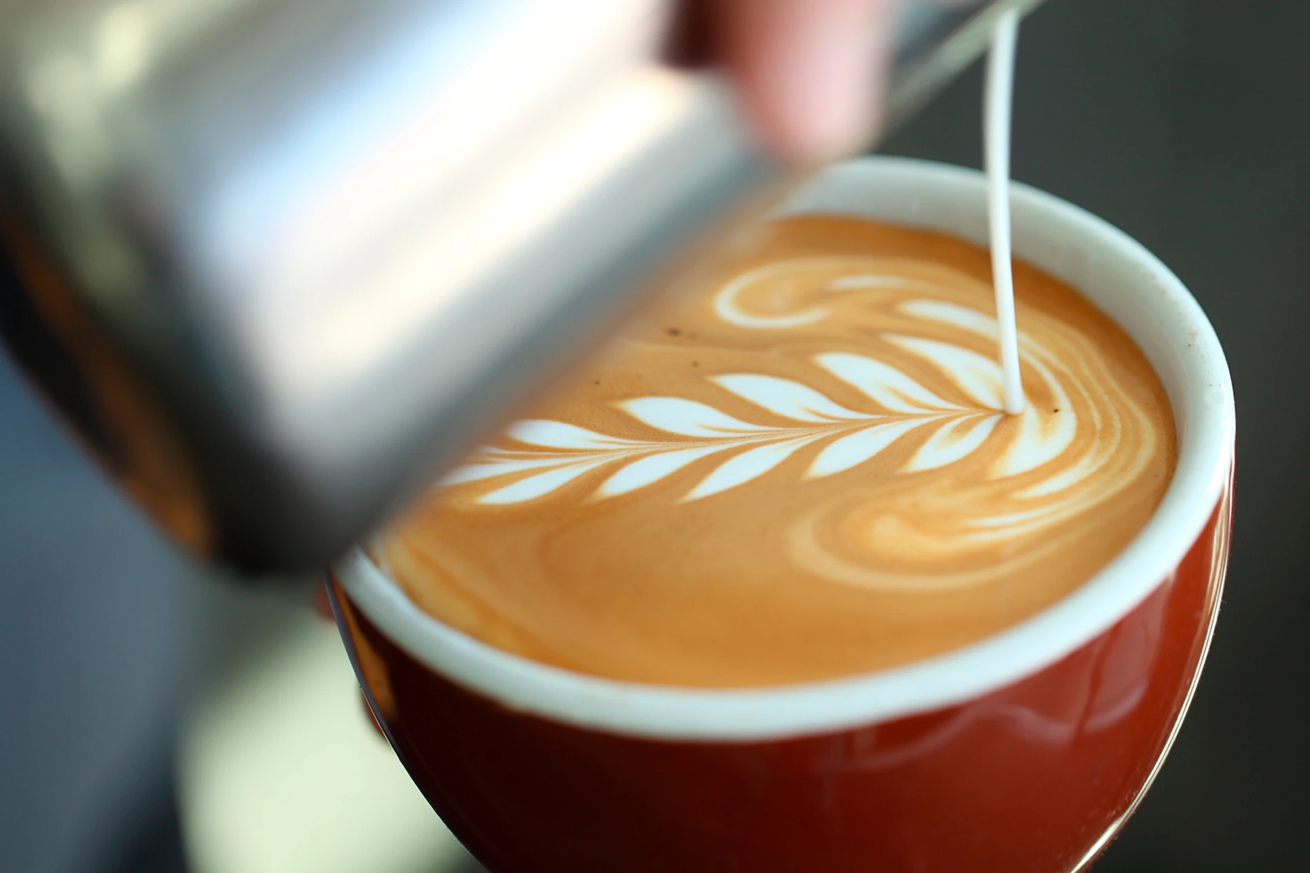 latte art