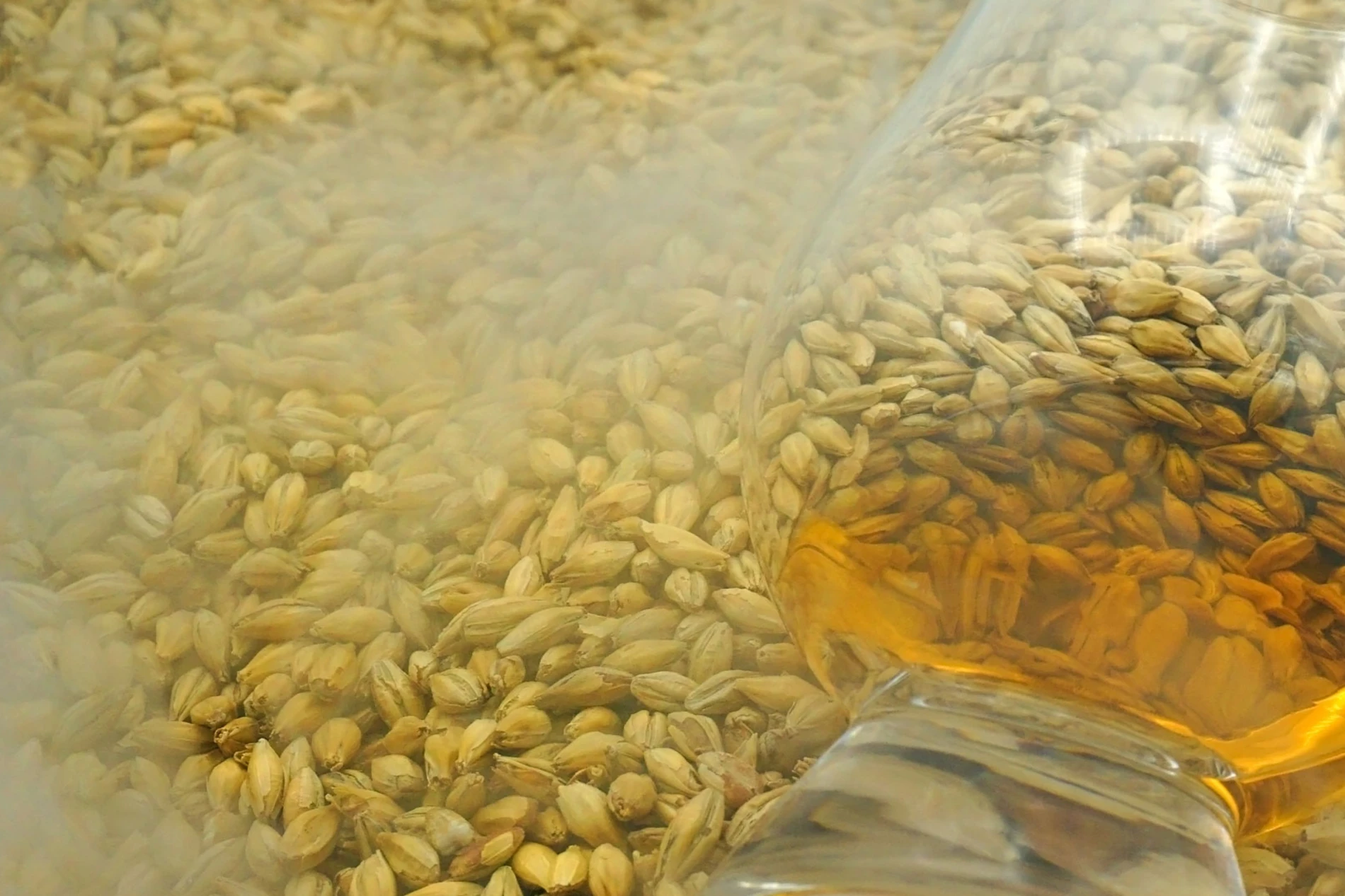 grains