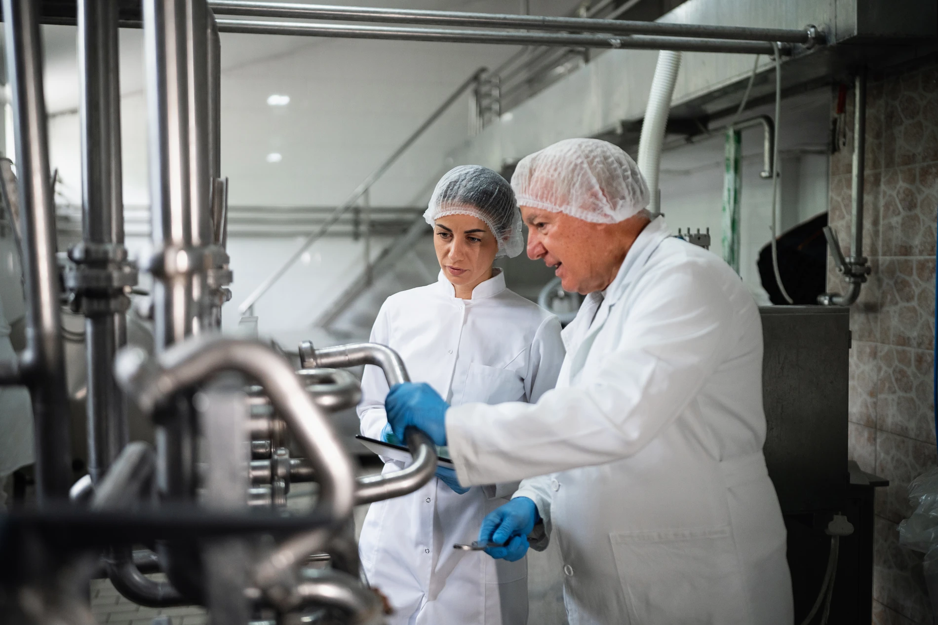 Workers in dairy production