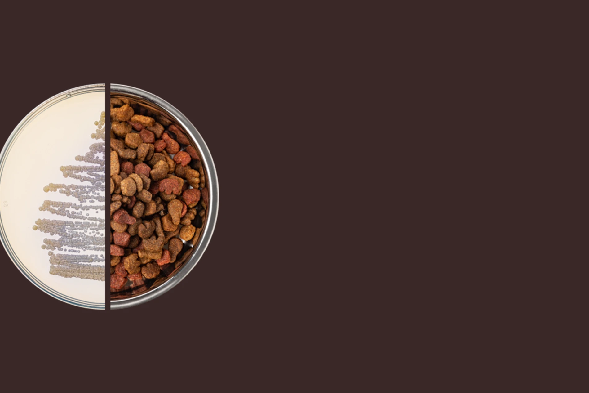 Split image showing pet food kibble and a lab petri dish on a dark background.