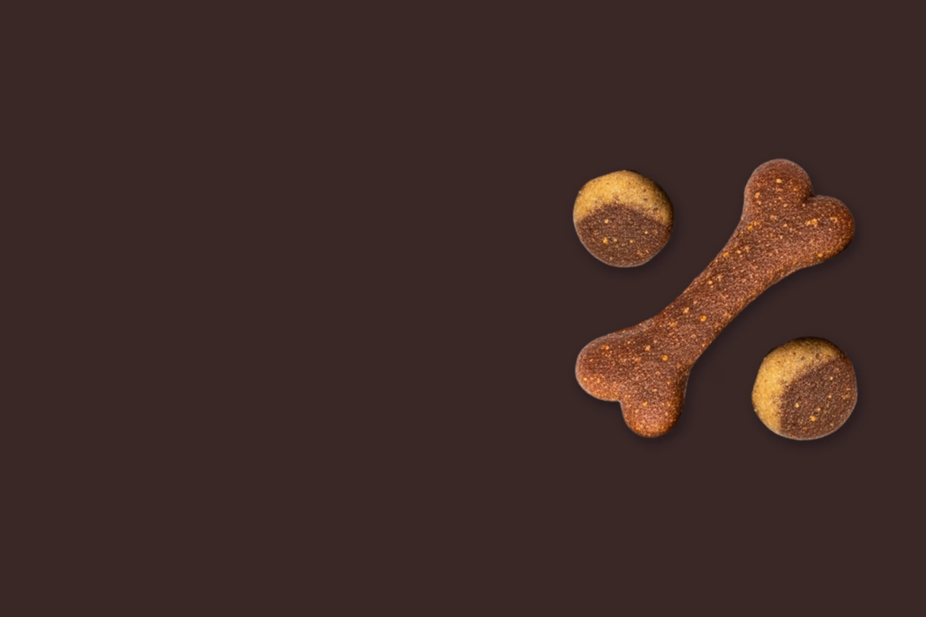 Dog kibble pieces, including a bone shape, on a dark background.