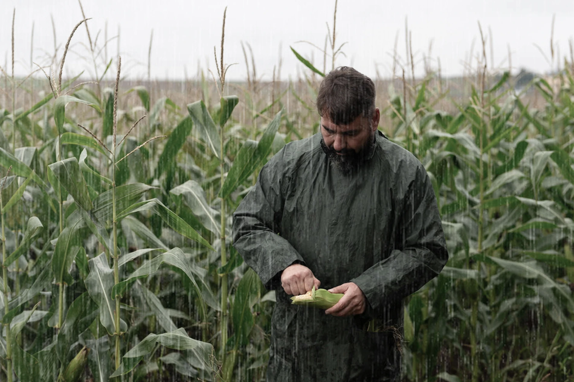 Dairy farmers don't control the weather